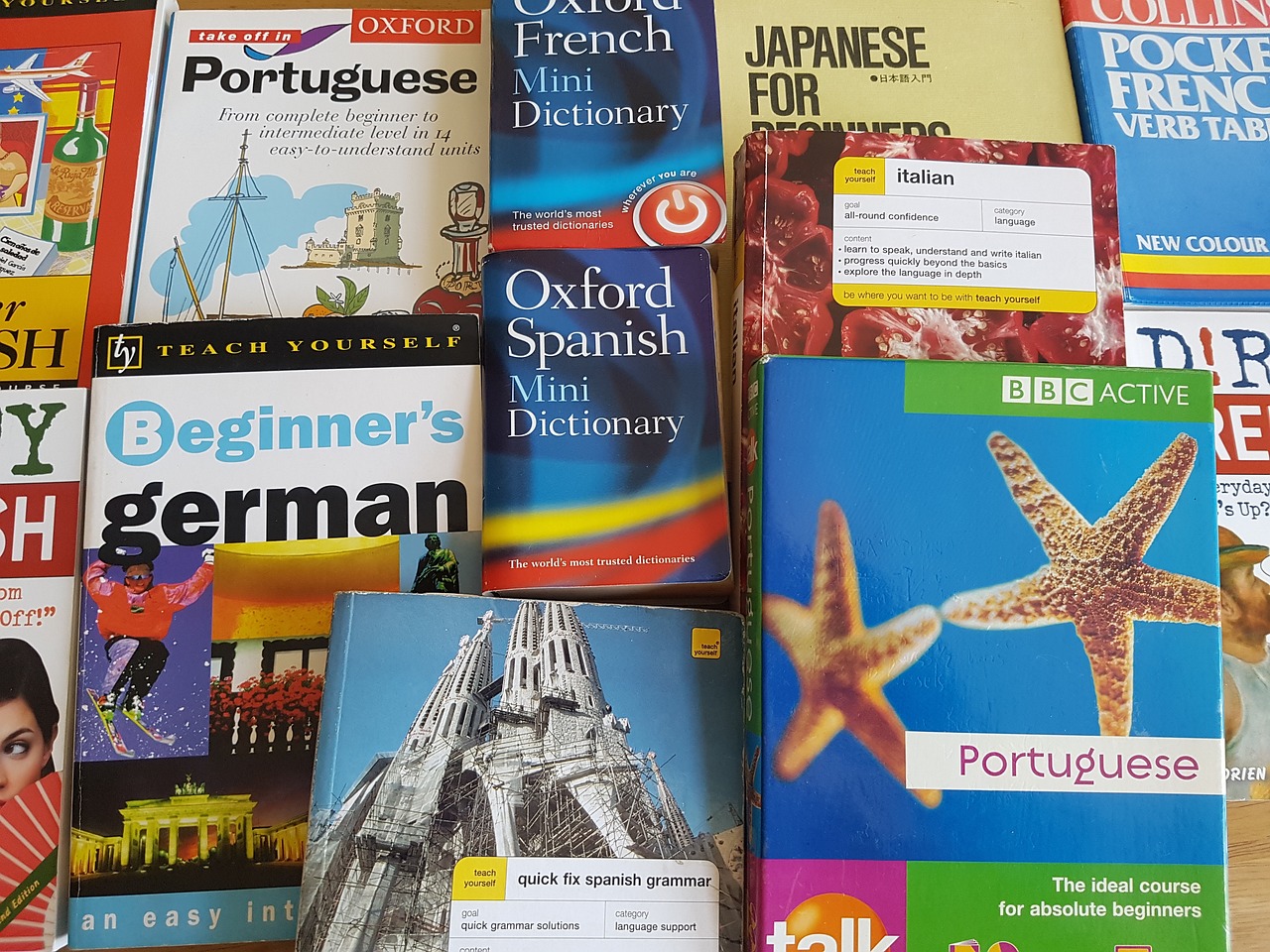 速遞新書推薦，探索知識(shí)的新領(lǐng)域之旅
