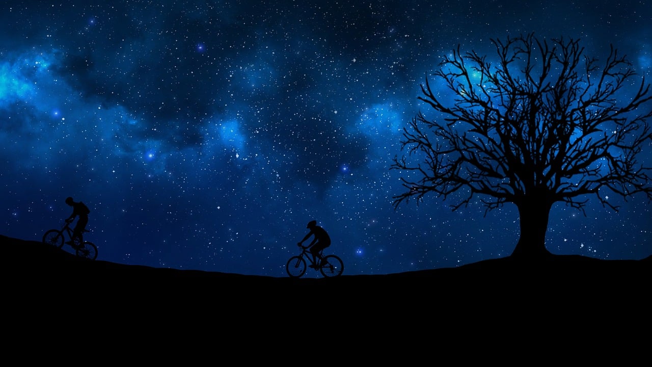 你是閃耀的明星，情感贊歌中的無盡光芒