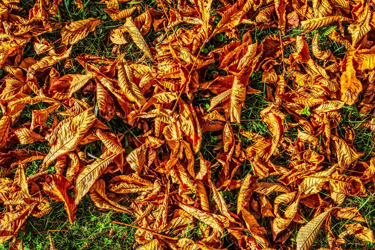 素觴流年 第9頁(yè)