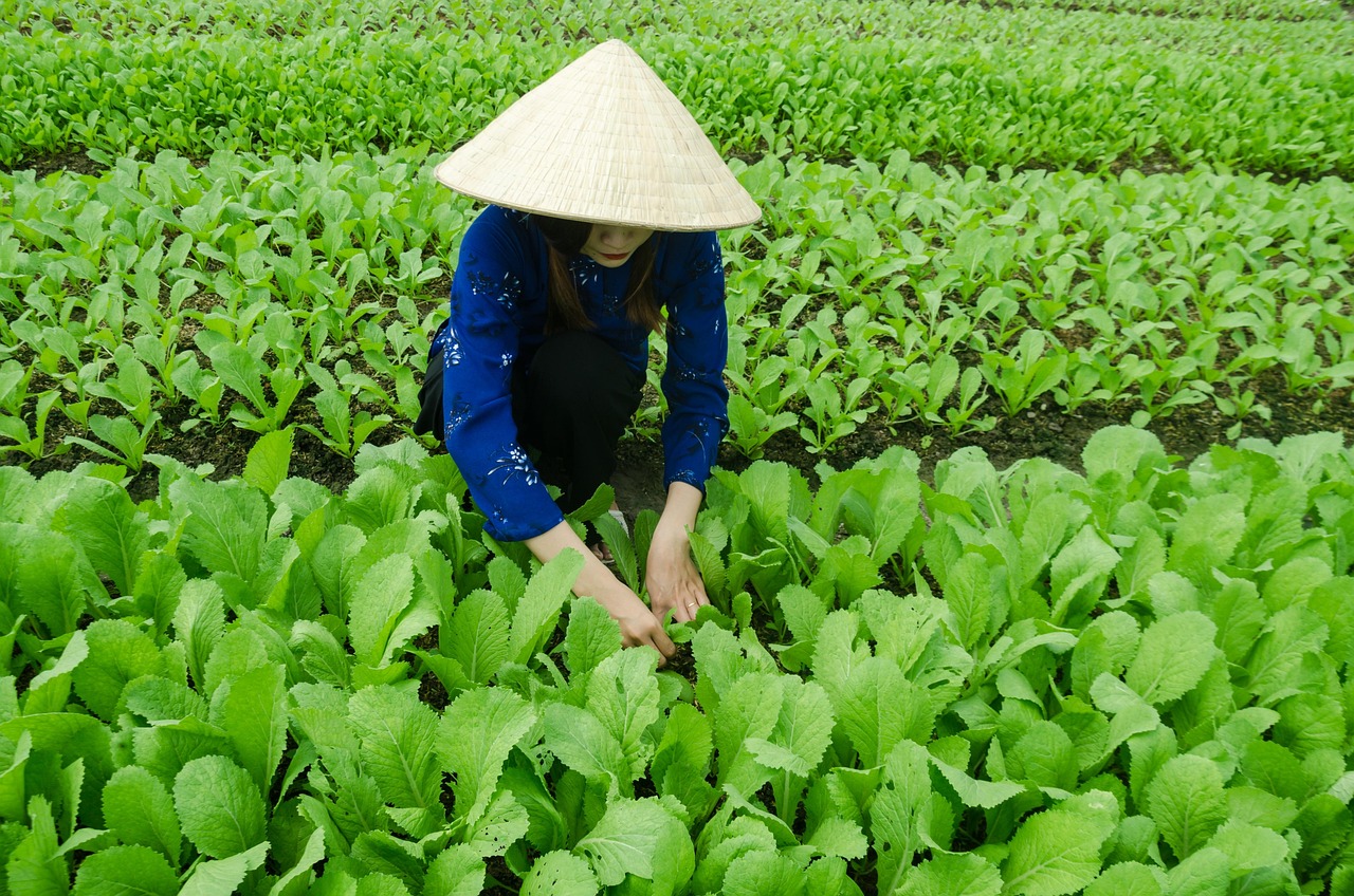 南陽白河大道建設(shè)最新進(jìn)展動(dòng)態(tài)