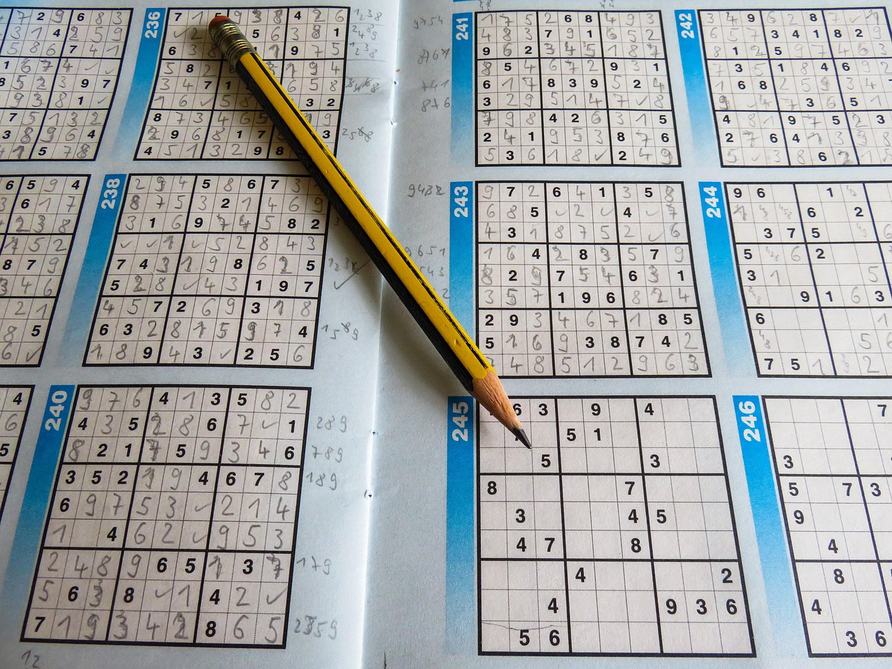 學?；@球比賽秩序冊全覽，賽事安排、規(guī)則與參賽指南