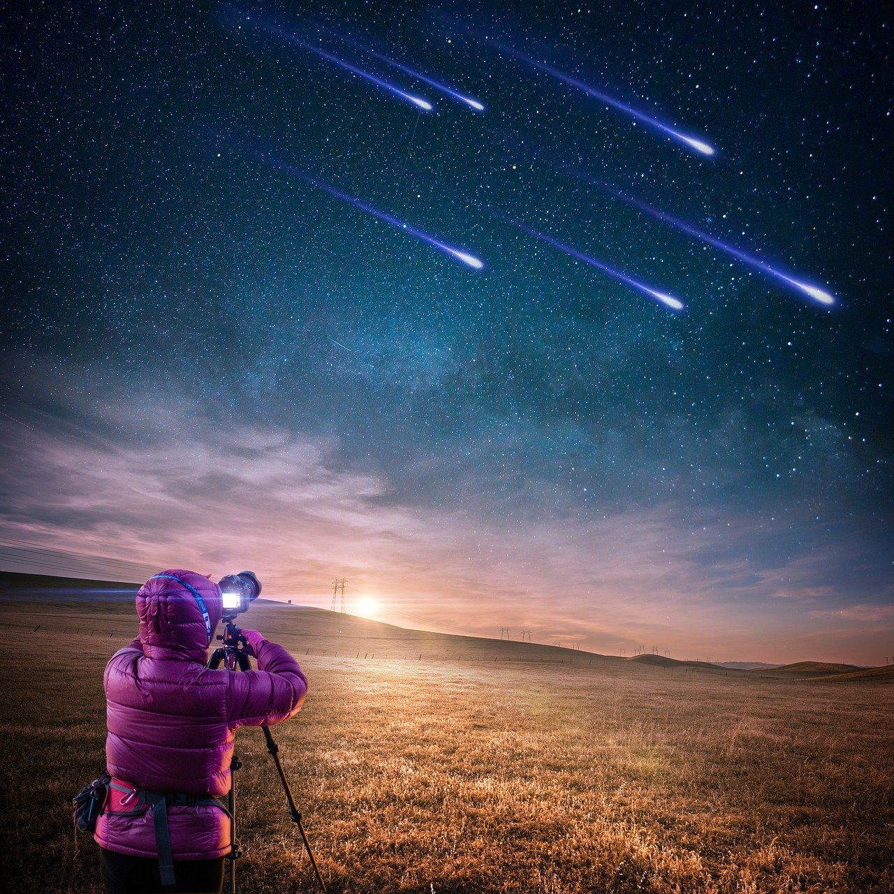 中國(guó)明星網(wǎng)，娛樂圈的璀璨星辰照亮者