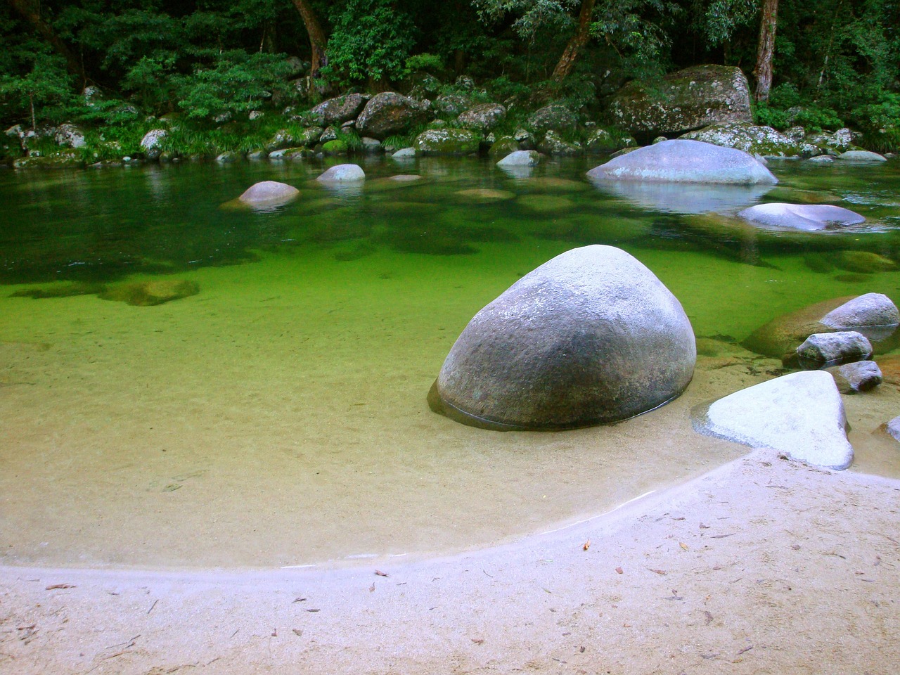 最新龜池設(shè)計(jì)圖片，構(gòu)建理想的龜類生態(tài)環(huán)境