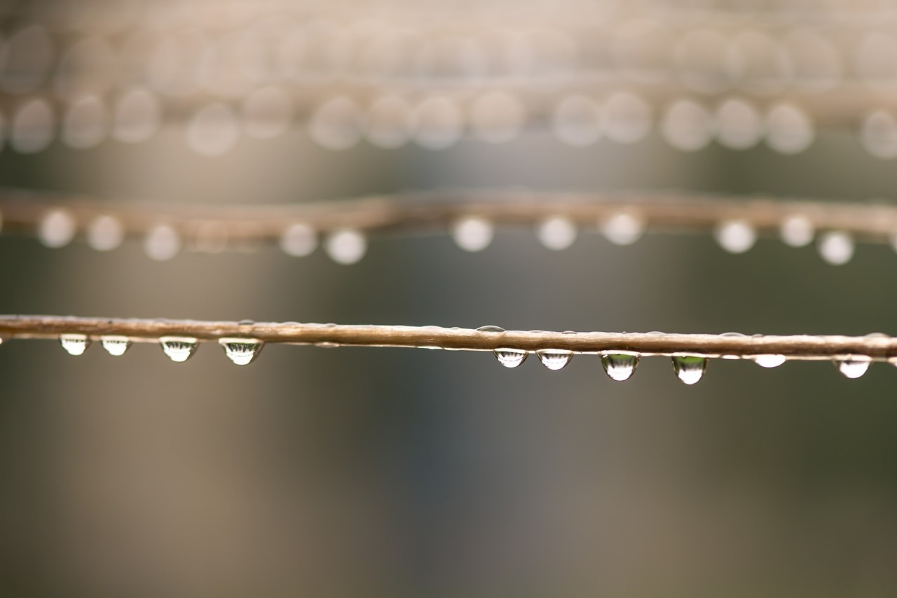 江蘇暴雨預(yù)警最新動態(tài)及應(yīng)對暴雨天氣的緊急措施與全面準(zhǔn)備指南