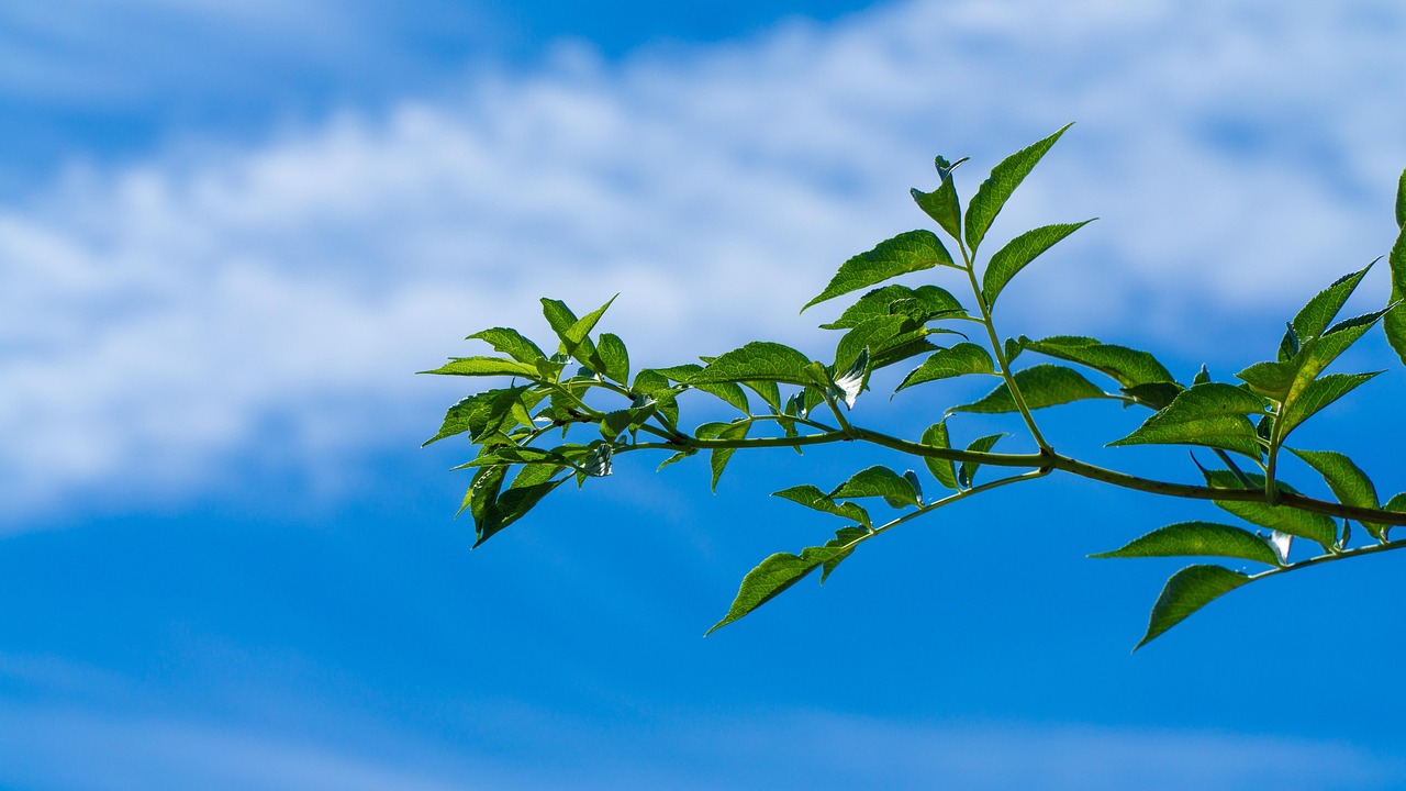 天津疫情最新動態(tài)，堅定信心，科學防控，共同抗擊疫情